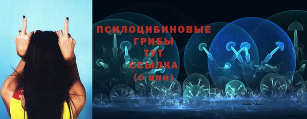 метамфетамин Белокуриха