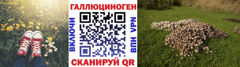 Галлюциногенные грибы ЛСД  Купить где  Няндома 